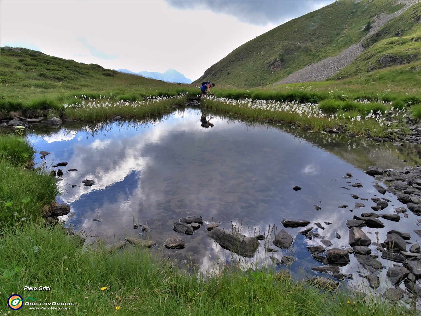 74 Bianchi eriofori al laghetto oltre quello delle Foppe Basse  (2197 m).JPG